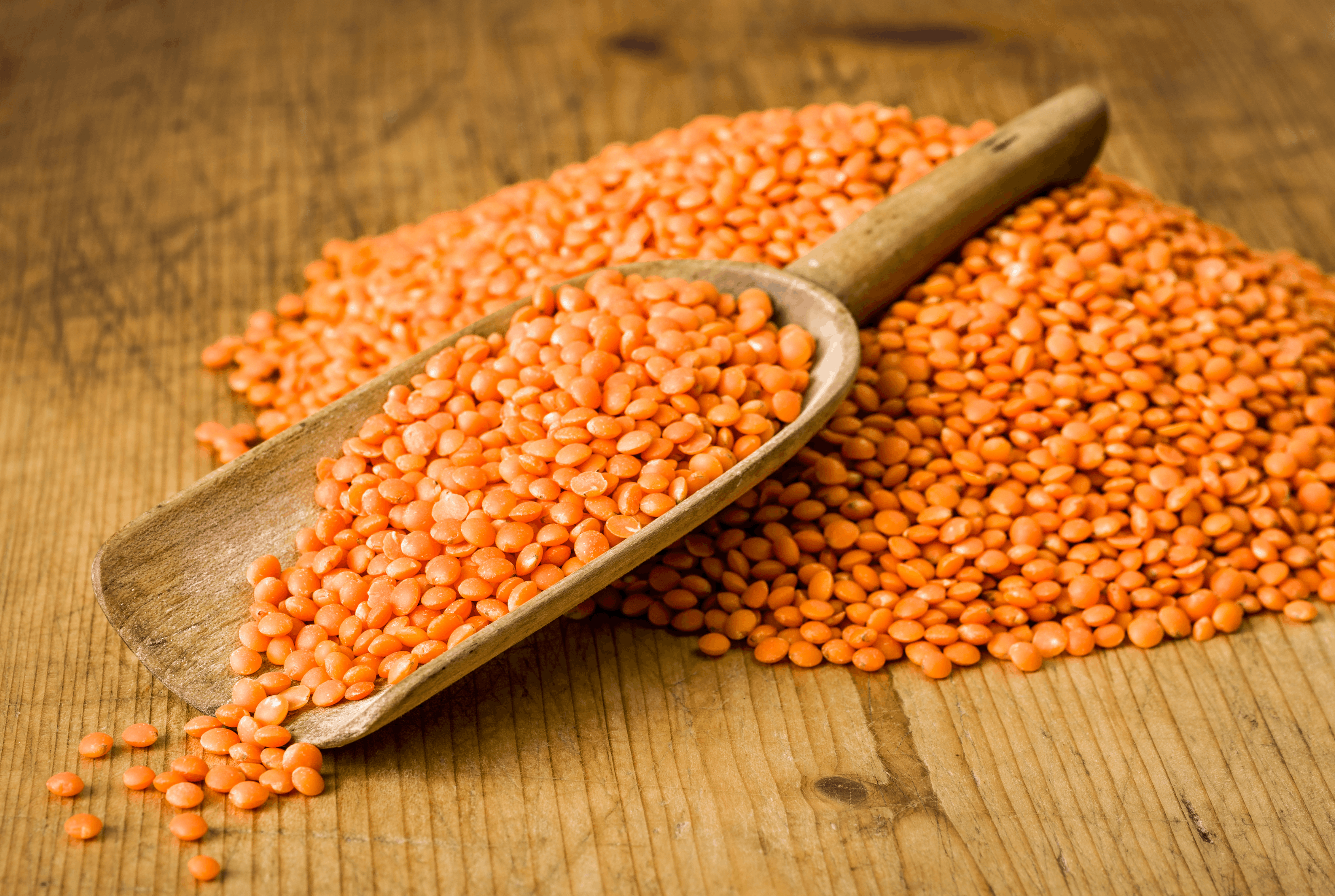 Pulses & legumes